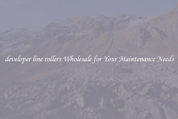developer line rollers Wholesale for Your Maintenance Needs