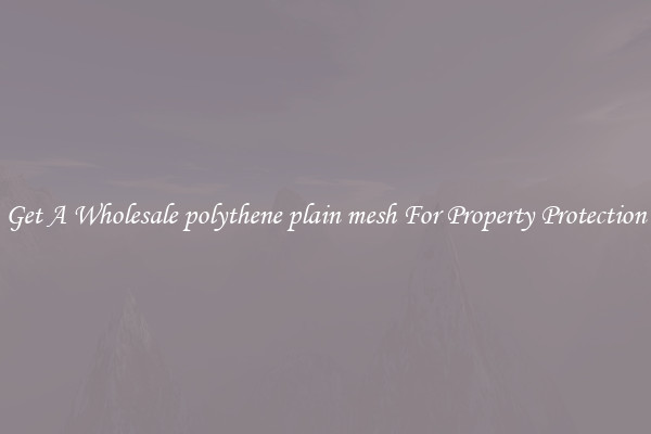 Get A Wholesale polythene plain mesh For Property Protection