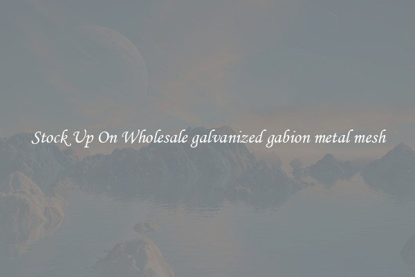 Stock Up On Wholesale galvanized gabion metal mesh