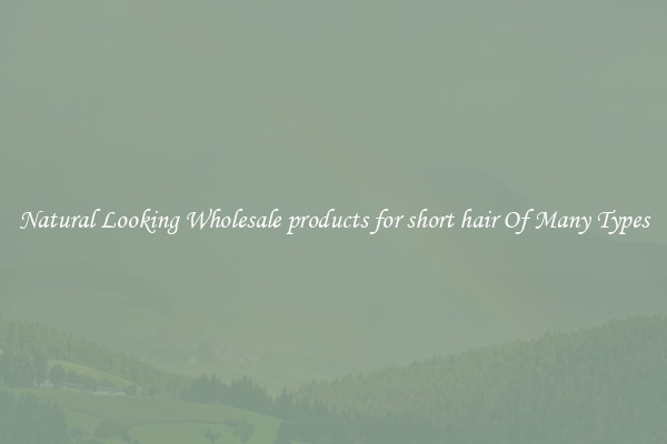 Natural Looking Wholesale products for short hair Of Many Types