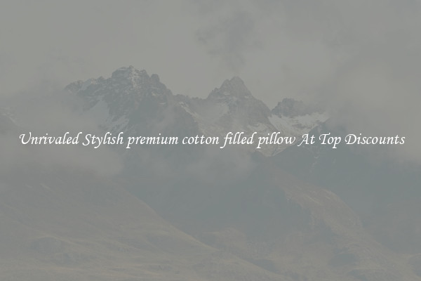 Unrivaled Stylish premium cotton filled pillow At Top Discounts