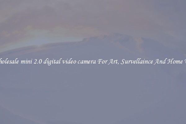 Wholesale mini 2.0 digital video camera For Art, Survellaince And Home Use