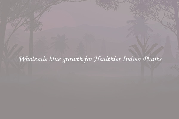 Wholesale blue growth for Healthier Indoor Plants
