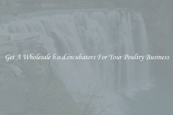 Get A Wholesale b.o.d.incubators For Your Poultry Business