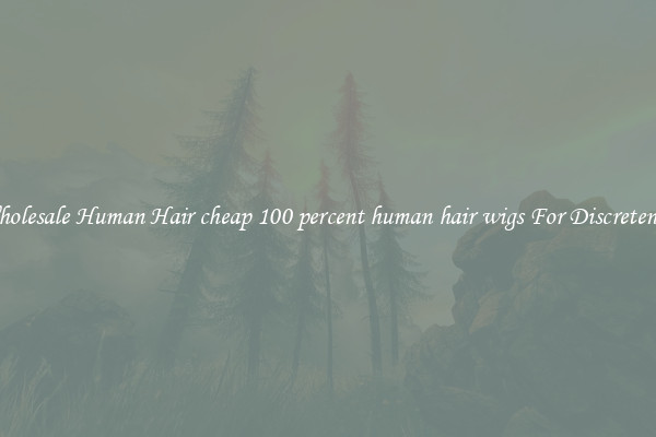 Wholesale Human Hair cheap 100 percent human hair wigs For Discreteness