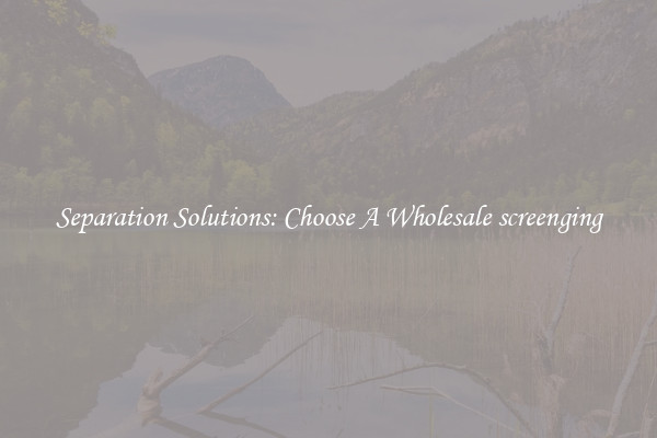 Separation Solutions: Choose A Wholesale screenging