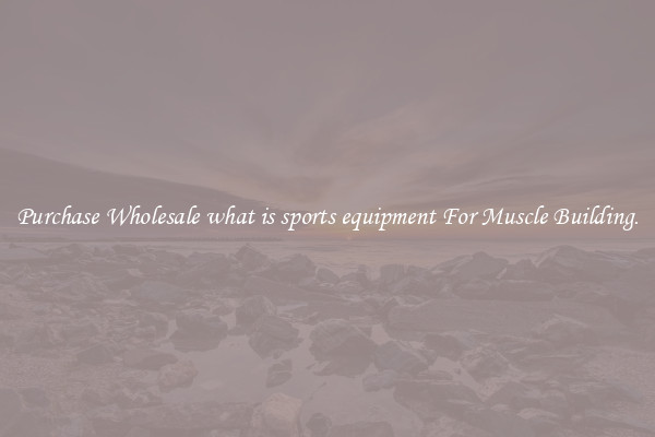 Purchase Wholesale what is sports equipment For Muscle Building.