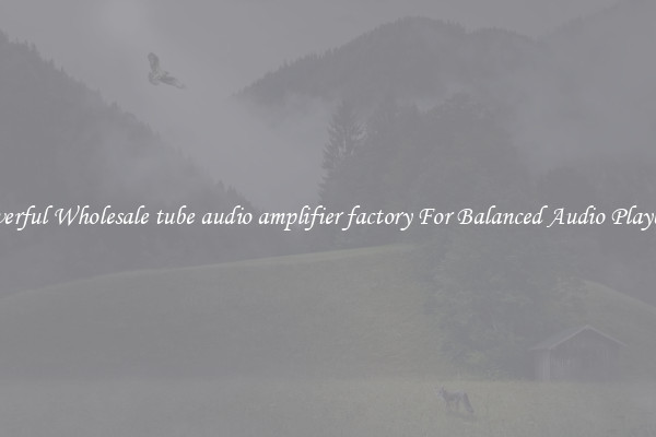 Powerful Wholesale tube audio amplifier factory For Balanced Audio Playback