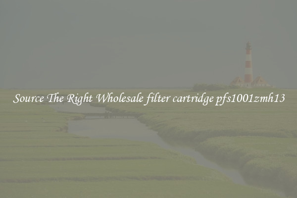 Source The Right Wholesale filter cartridge pfs1001zmh13