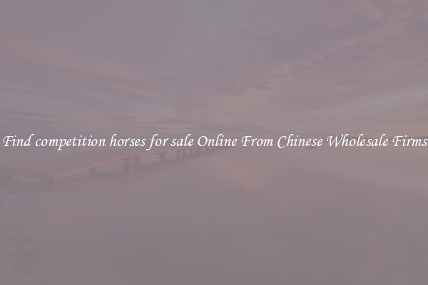 Find competition horses for sale Online From Chinese Wholesale Firms