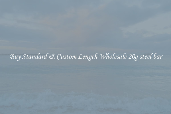 Buy Standard & Custom Length Wholesale 20g steel bar