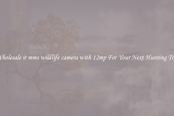 Wholesale ir mms wildlife camera with 12mp For Your Next Hunting Trip