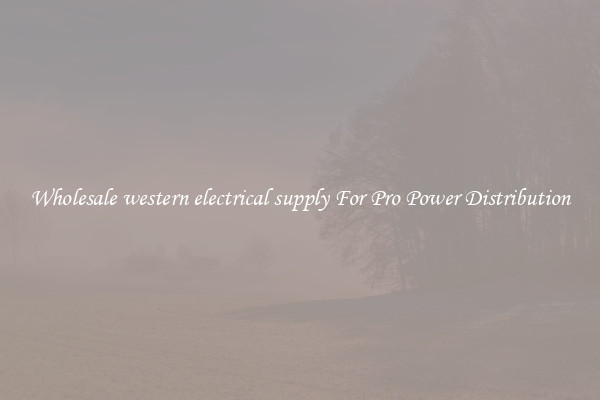 Wholesale western electrical supply For Pro Power Distribution