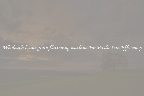 Wholesale beans grain flattening machine For Production Efficiency