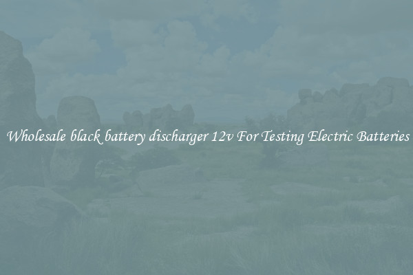 Wholesale black battery discharger 12v For Testing Electric Batteries