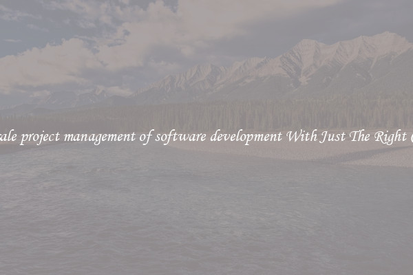 Wholesale project management of software development With Just The Right Content