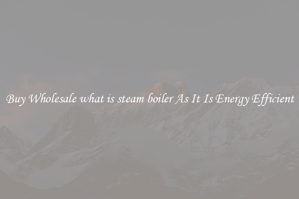 Buy Wholesale what is steam boiler As It Is Energy Efficient