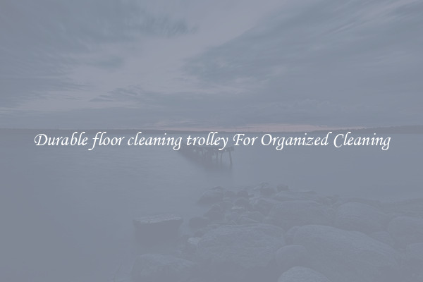 Durable floor cleaning trolley For Organized Cleaning