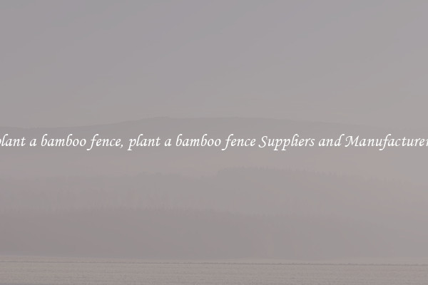 plant a bamboo fence, plant a bamboo fence Suppliers and Manufacturers