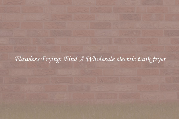 Flawless Frying: Find A Wholesale electric tank fryer